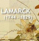 Jean-Baptiste Lamarck