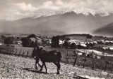 Histoire et patrimoine de Chateauneuf en Savoie (Savoie)