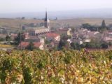 Histoire et patrimoine de Fleurie (Rhône)