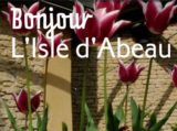 Histoire et patrimoine de l’Isle d’Abeau (Isère)