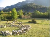 Histoire de Montmorin (Hautes-Alpes)