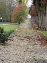 Histoire de Verdes (Loir-et-Cher)