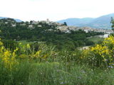 Histoire de Vinsobres (Drôme)