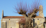 Histoire et patrimoine de Genouillé (Charente-Maritime)