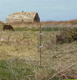 Histoire et patrimoine de Lanildut (Finistère)