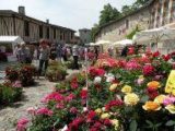 Histoire et patrimoine de Montaut les Créneaux (Gers)