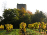 Histoire et patrimoine de Reignac (Gironde)