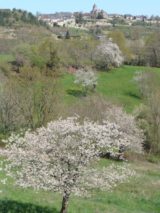 Histoire et patrimoine de Saint-Robert (Corrèze)