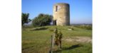 Histoire et patrimoine de Saint-Savin (Gironde)