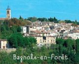 Histoire et patrimoine de Bagnols-en-Forêt (Var)