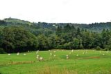 Histoire de Bonnac la Côte (Haute-Vienne)