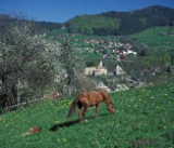 Histoire d’Habère-Lullin (Haute-Savoie)