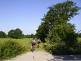 Histoire et patrimoine de La Bruffière (Vendée)