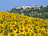 Histoire et patrimoine de Lauzerte (Tarn-et-Garonne)