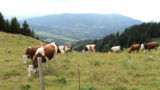 Histoire et patrimoine de Megevette (Haute-Savoie)