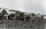 Histoire et patrimoine de Montagny les Lanches (Haute-Savoie)