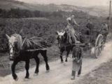 Histoire et patrimoine de Preixan (Aude)