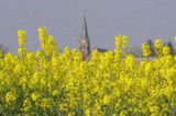 Histoire de la commune de Rollot (Somme)