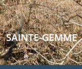 Histoire et patrimoine de Sainte Gemme (Tarn)