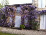 Histoire et patrimoine de Ludon-Médoc (Gironde)