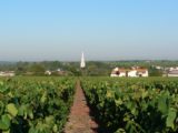 Histoire et patrimoine de La Haye Fouassière (Loire-Atlantique)