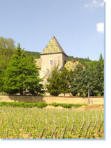 Le Château de Santenay (Côte d’Or)