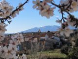 Histoire et patrimoine de Trouillas (Pyrénées-Orientales)