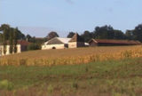 Histoire et patrimoine de Cours de Monségur (Gironde)