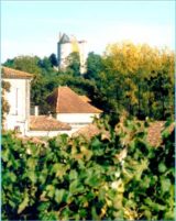 Histoire et patrimoine de Buzet sur Baïse (Lot-et-Garonne)