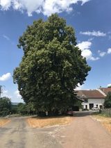 Histoire de Hautecour (Jura)