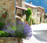 Histoire et patrimoine de Boucieu le Roi (Ardèche)