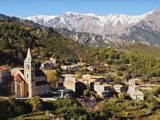 Histoire de Vivario (Haute-Corse)