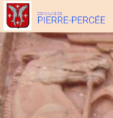 Histoire, patrimoine et personnages de Pierre-Percée (Meurthe-et-Moselle)