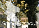 Histoire et patrimoine de Saint-Pardoult (Charente-Maritime)