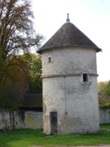 Histoire et patrimoine de Pin (Haute-Saône)
