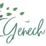 Histoire et patrimoine de Genech (Nord)